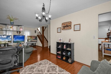11-web-or-mls-DSC_9306