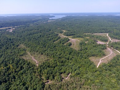 0 Mathis Cemetery Rd unit RTC2414563, Stewart, TN 37175 - photo 5