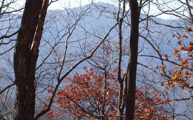 Additional View