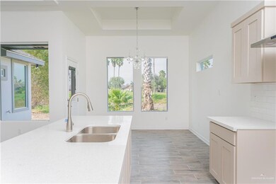 522 Pine Oak St, Donna, TX 78537 - photo 3