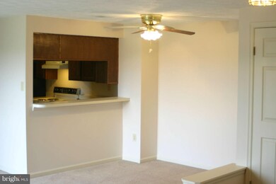 819 Stratford Way unit L, Frederick, MD 21701 - photo 4