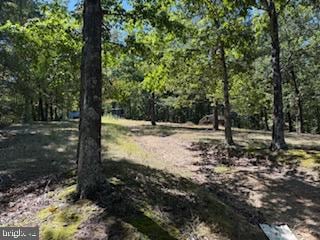 0 Palmer Rd unit WVBE2044118, Gerrardstown, WV 25420 - photo 3