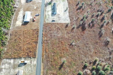 115 Jerold Jones Dr, Jesup, GA 31545 - photo 4