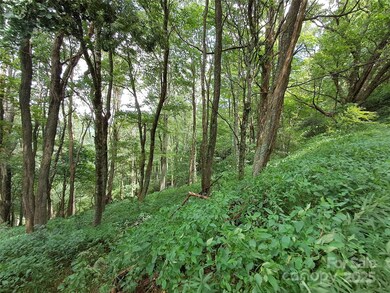 00 Hurricane Ridge Trace unit 53, Clyde, NC 28721 - photo 3