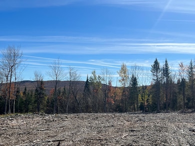 - Canaan Hill Rd, Canaan, VT 05903 - photo 4