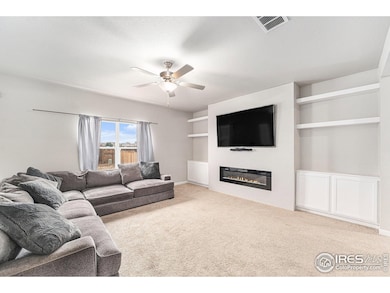 971 Ouzel Falls Rd, Severance, CO 80550 - photo 3