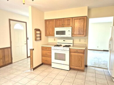 131 E Jackson St, Oswego, IL 60543 - photo 6