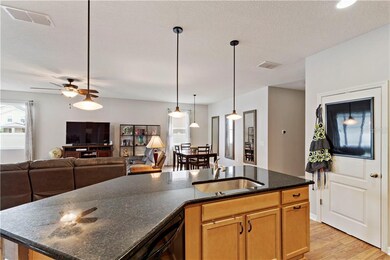 10636 Aldo Moro Dr, Wimauma, FL 33598 - photo 7