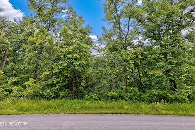 0 Tranquility Tr unit 1323329, Dandridge, TN 37725 - photo 2