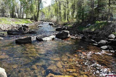 0 Northeast Cir unit 768950, Durango, CO 81301 - photo 5