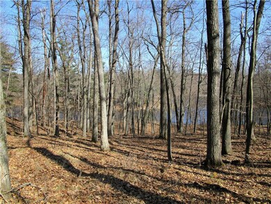 5.26 Acre Wooded Lot With 251 Feet Owned Frontage