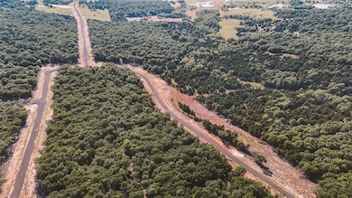 Bird's eye view of a forest