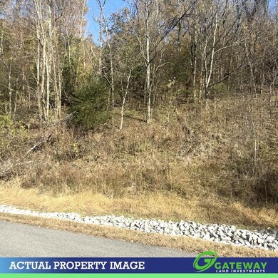 0 Bella Grace Dr unit 25572456, Smithville, TN 37166 - photo 2