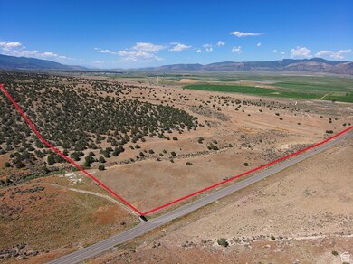 North end of property with Pigeon Hollow Road looking south west.