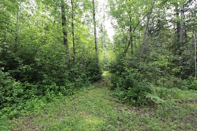 28XX Junction Rd, Ashland, WI 54806 - photo 7