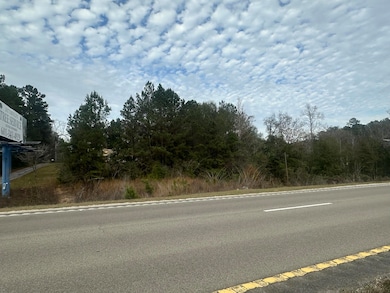 1.6 Acres La Jaunie Ln, Sumrall, MS 39482 - photo 5