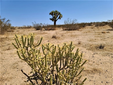 3030 Saddleback Rd, Joshua Tree, CA 92252 - photo 4