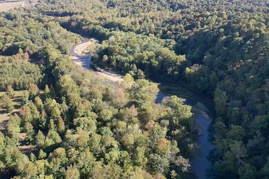 840 Buffalo Bottom Rd, Linden, TN 37096 - photo 5