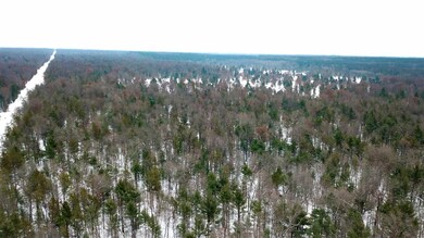 DJI_0175