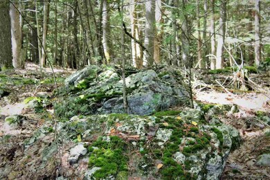 TBD Bone Hollow Rd, Accord, NY 12404 - photo 6