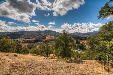 Skyline mountain and vineyard views!