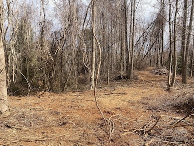 1638 Continental Divide Dr unit 1, Flat Rock, NC 28731 - photo 6