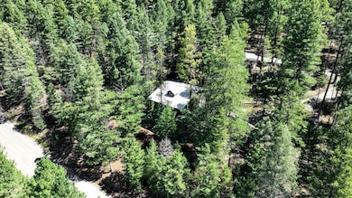 12 Meadow View Glen, Cloudcroft, NM 88317 - photo 6