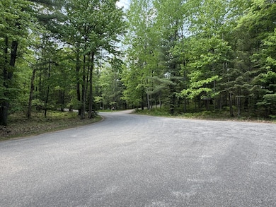 Lot 127 Woodhill Ct, Minocqua, WI 54548 - photo 3
