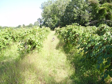 13320 Red Arrow Hwy, Chikaming Township, MI - photo 7