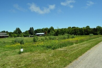 Lot 4