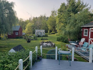 BIG Back yard