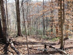 109 Yates Ln unit 109, Lake Lure, NC 28746 - photo 4