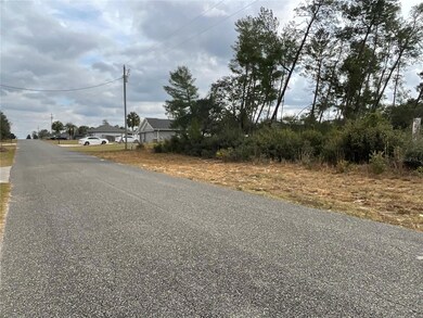 TBD SW 110th Ln, Ocala, FL 34476 - photo 5