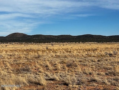 1270-D Along Way, Seligman, AZ 86337 - photo 2