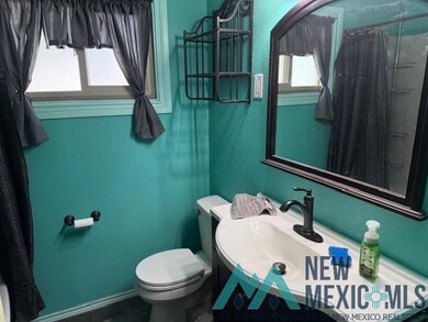 211 N Elm St, Carlsbad, NM 88220 - photo 7