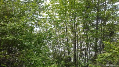 20012 Beach Dr, Stanwood, WA 98292 - photo 3