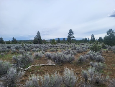 0000 Old State Hwy, MacDoel, CA 96058 - photo 3