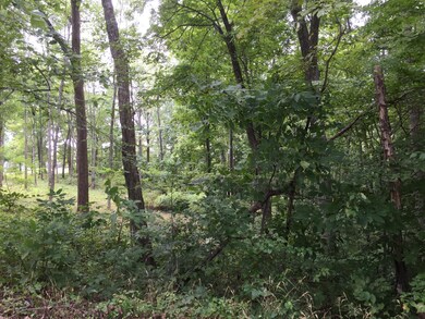 0 Tolliver Rd unit Lot A 216031333, Logan, OH 43138 - photo 3