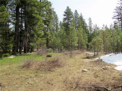 10370 Washington 903, Ronald, WA 98940 - photo 2