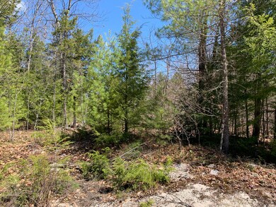 Lot 97B Frost Farm Rd, Bridgton, ME 04009 - photo 2