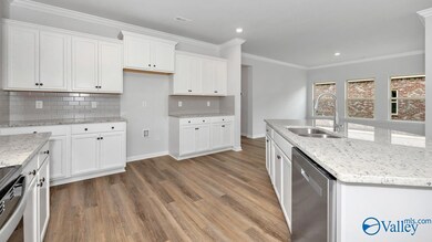 201 Crane Hollow Ln, Huntsville, AL 35811 - photo 5