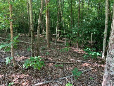 1337 Chinquapin Rd, Travelers Rest, SC 29690 - photo 4