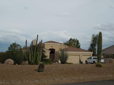 Front view with cacti
