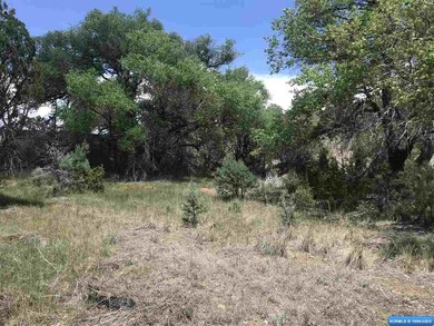 xx Oakhurst & Nizhoni, Silver City, NM 88061 - photo 7