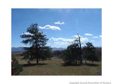 3676 Buffalo Ridge Rd, Como, CO 80432 - photo 7