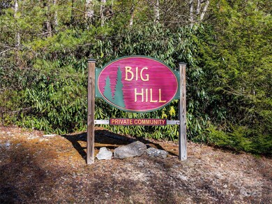 Lot 56 Big Branch Rd unit 56A, Brevard, NC 28712 - photo 3