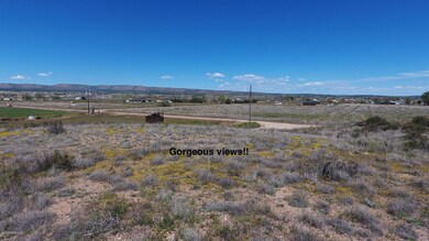 25050 N Big Springs Ranch Rd, Paulden, AZ 86334 - photo 4