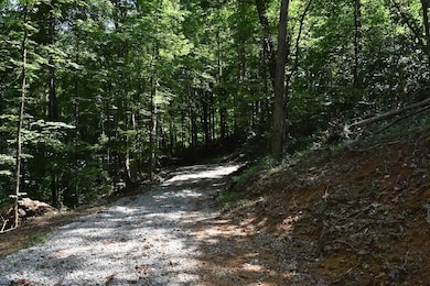 Cannon Hollow Rd unit LotWP001, Bronston, KY 42518 - photo 5