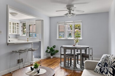 358 Lexington St, Watertown, MA 02472 - photo 4