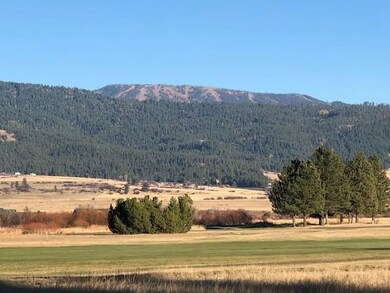 View of Brundage Mtn from Subdivision